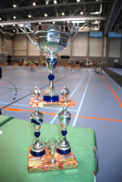 Netbaltoernooi voor kwetsbare ouderen vrijdag 9 mei 2025 - Officieuze Vlaams Kampioenschap
