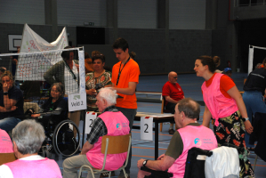 Netbaltoernooi voor kwetsbare ouderen vrijdag 9 mei 2025 - Officieuze Vlaams Kampioenschap