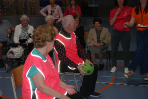Netbaltoernooi voor kwetsbare ouderen vrijdag 9 mei 2025 - Officieuze Vlaams Kampioenschap