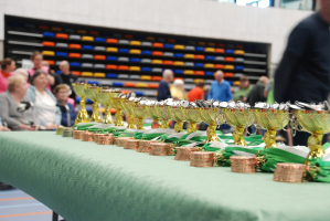 Netbaltoernooi voor kwetsbare ouderen vrijdag 9 mei 2025 - Officieuze Vlaams Kampioenschap