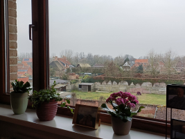 Wonen in VASTVERBLIJF - open of beschermde leefgroep