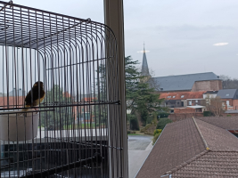 Wonen in VASTVERBLIJF - open of beschermde leefgroep